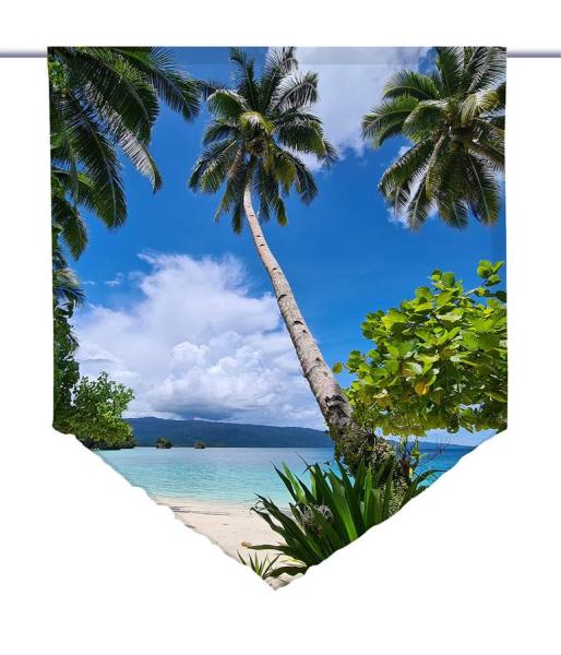 Triton Bay, Scheibenhänger spitz